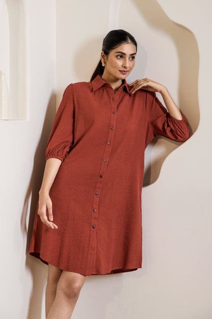 Classic Sangria Shirt dress