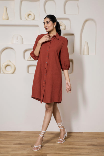 Classic Sangria Shirt dress