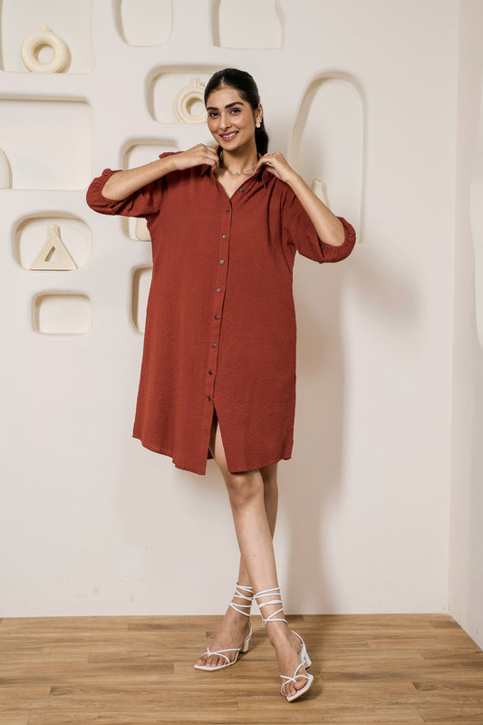 Classic Sangria Shirt dress